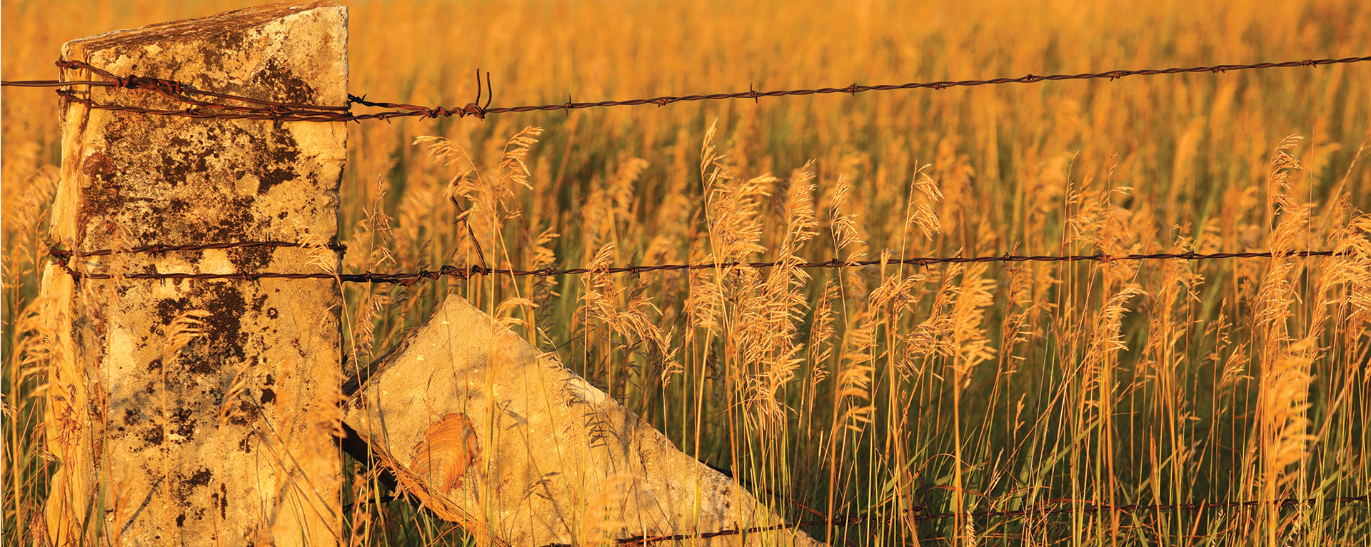 Big Kansas Road Trip By the Kansas Sampler Foundation