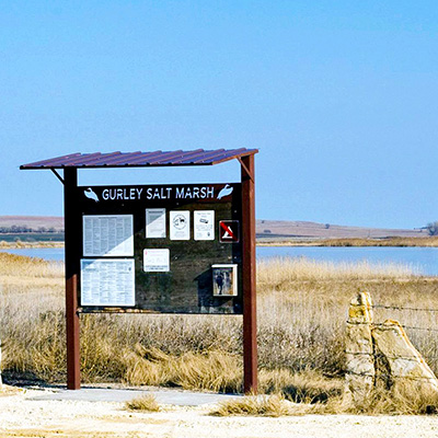 Barnard - Gurley Marsh