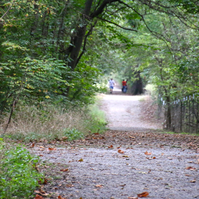 Wilderness Park