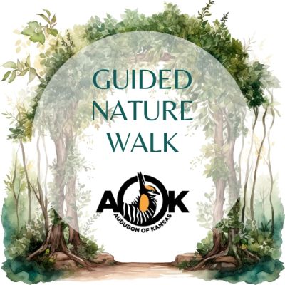 Morning Nature Walk with Audubon of Kansas